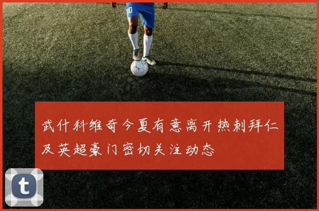 武什科维奇今夏有意离开热刺拜仁及英超豪门密切关注动态